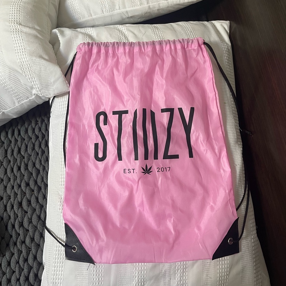 Pink stizzy bag brand new
